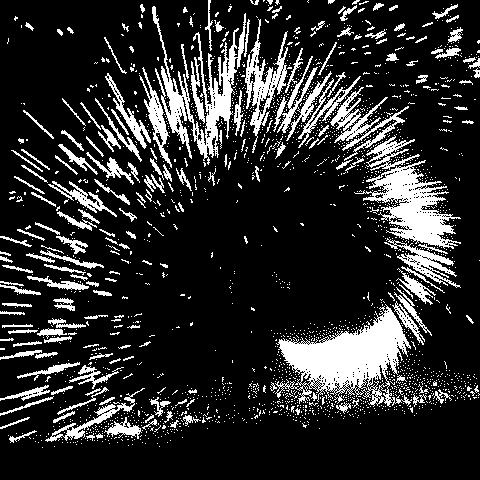 Gifs en Vrac 13-03 gifs-vrac-13-03