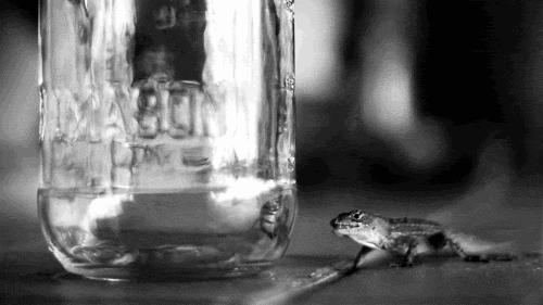 Gifs en Vrac 13-05 gifs-vrac-13-05