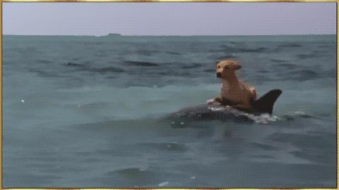 Gifs en Vrac 25-07 gifs-vrac-25-07