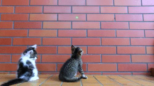 Gifs en Vrac 25-18 gifs-vrac-25-18