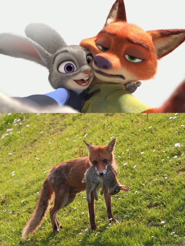 Disney Zootopie vs La vraie vie disney-zootopie-vs-vraie-vie