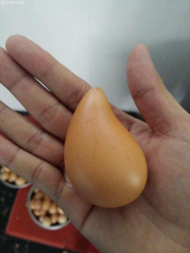 Un oeuf difforme oeuf-difforme