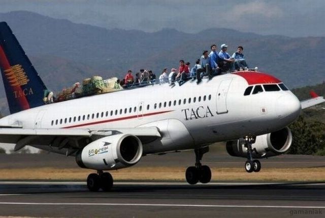 gamaniak_passagers-clandestins-avion.jpg