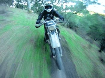 Moto à pleine vitesse à travers le bois moto-pleine-vitesse-travers-bois