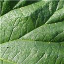 image calculez-votre-empreinte-ecologique