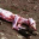 image peta-contre-massacre-animaux