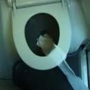 image papier-toilette-avion
