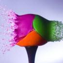 image explosion-couleurs
