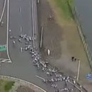 image peloton-velos-tombe