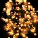 image plus-grand-feu-artifice-monde