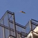 image bobo-chat-cascadeur