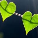 image images-vrac-26