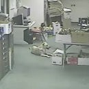 image chien-tremblement-terre