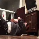 image chat-abdos-ecran-lcd