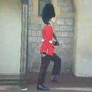 image garde-royal-vomit